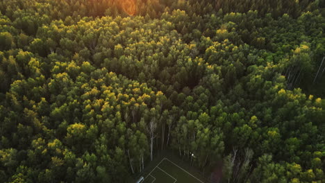 aerial view tilting over the forest soccer field, summer sunset in moscow, russia