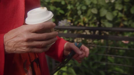 cámara lenta de una persona que lleva una taza de café y un perro a través de una calle suburbana