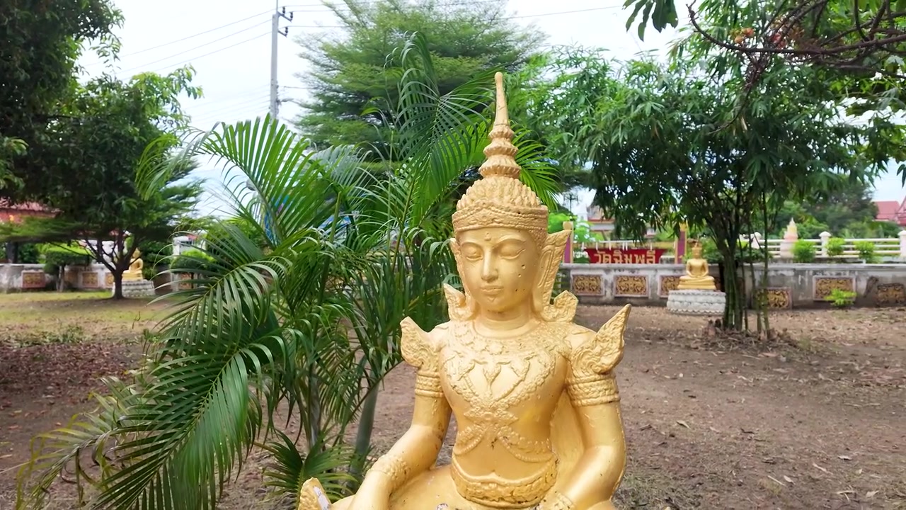 Máy ảnh phóng to về phía một bức tượng Phật ngồi bằng vàng trong khu vườn chùa nhiệt đới xanh tươi.