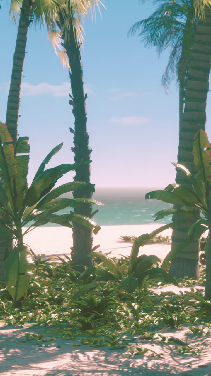 Tropical Beach Paradise