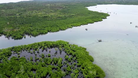 Bosque-De-Manglares-En-Expansión-Alrededor-De-Un-Canal-Abierto-De-Agua-Del-Océano,-Retiene-Lodo,-Aire