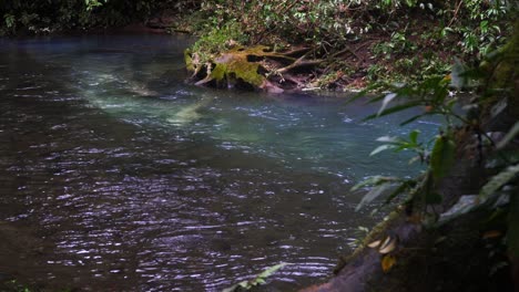 timelapse of a flowing crystal clear stream that turns turquoise blue int he sunlight