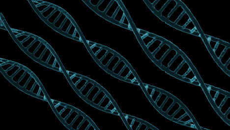 DNA-Symbol,-Nahtloses-Schleifenanimationsvideo,-Transparenter-Hintergrund-Mit-Alphakanal.