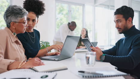 diversidad, trabajo en equipo y entrenamiento