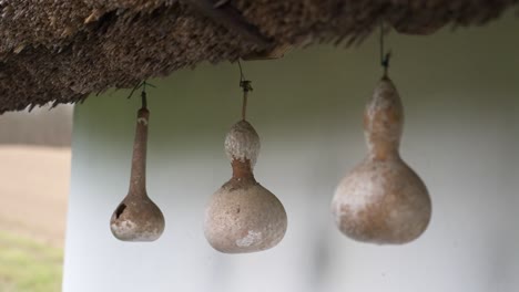 three dried gourds hanging from a thatched roof