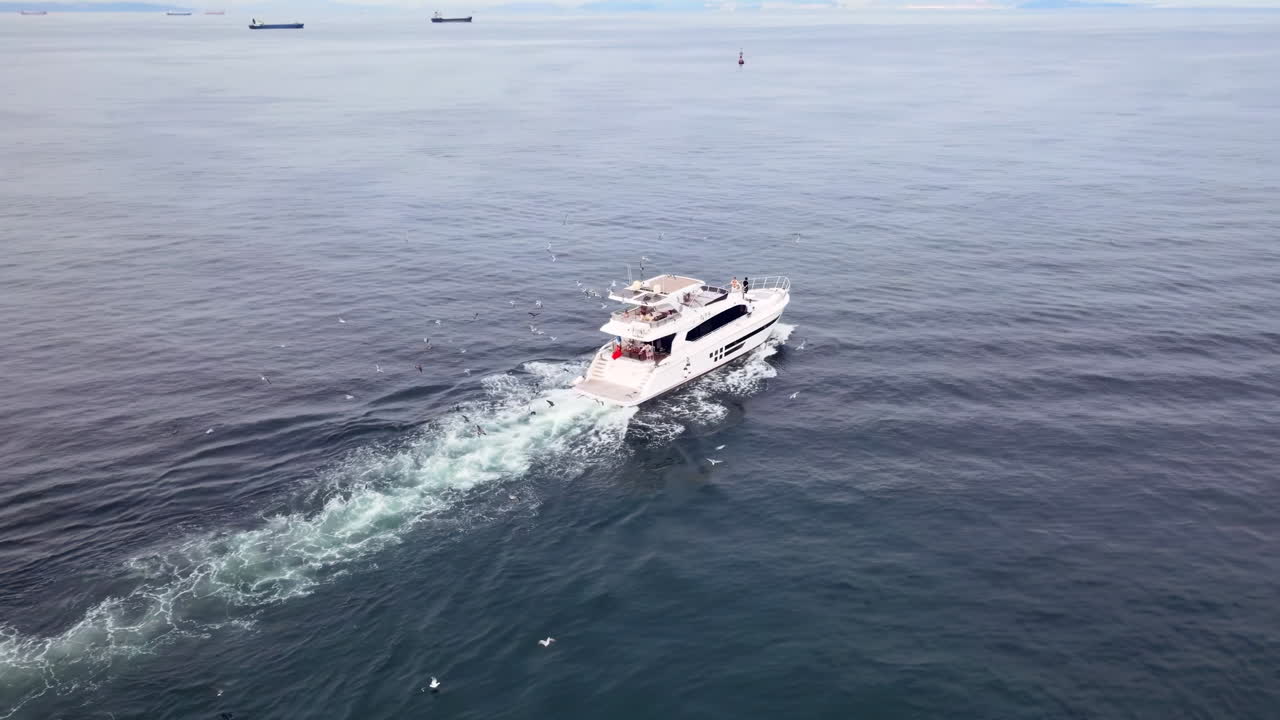 Vista dall'alto di un lussuoso yacht a vela che naviga a tutta velocità su acque calme, scivola dolcemente attraverso acque turchesi cristalline, lasciando una scia delicata; gabbiani planano in alto e la luce del sole danza sulle onde.