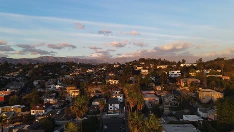 aerial view flying in middle of a palm tree road in elysian park, sunny evening in los angeles, usa - rising, drone shot