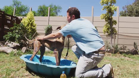 Perro-En-Un-Refugio-Con-Voluntario