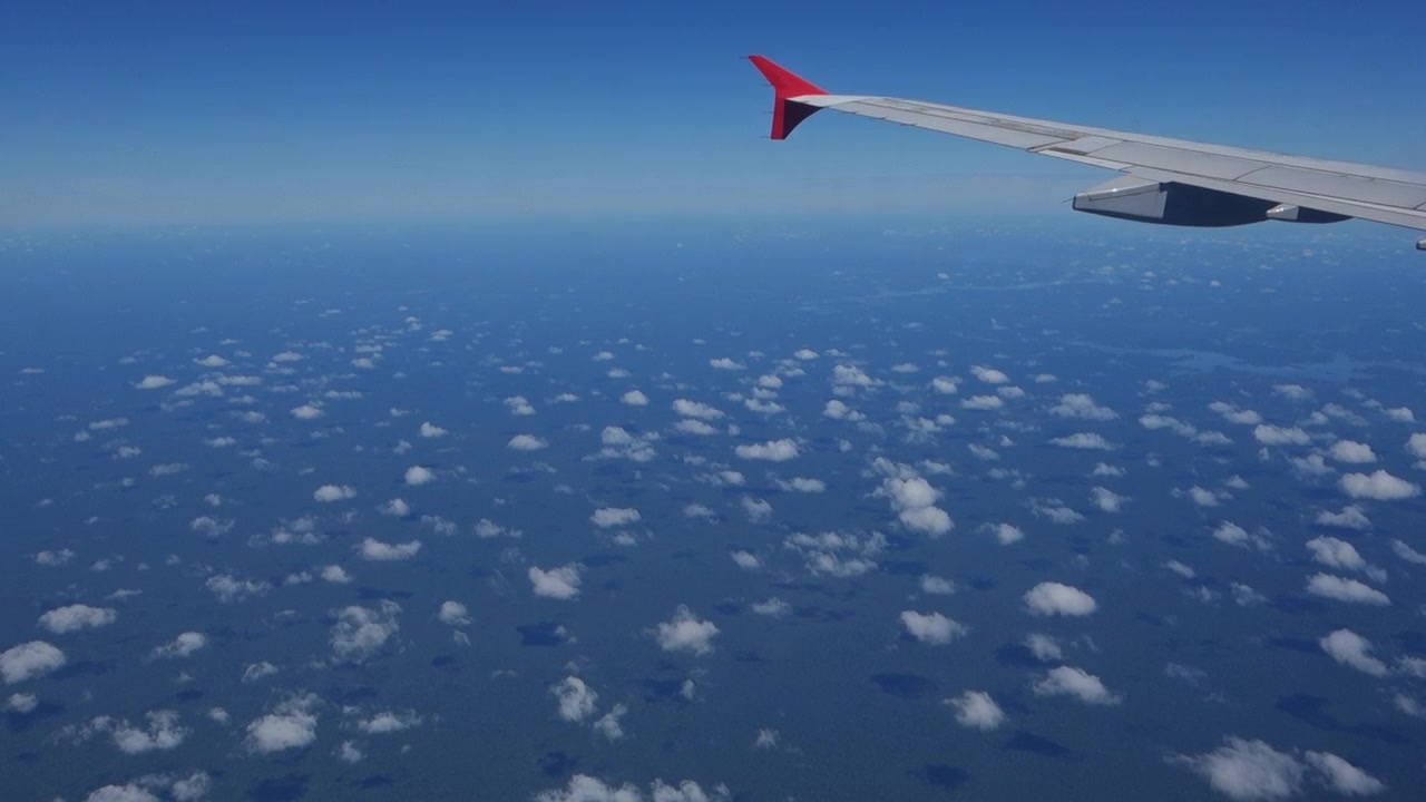 Luftudsigt over den enorme Amazonas regnskov gennem et flyvindue, med en del af vingen.
