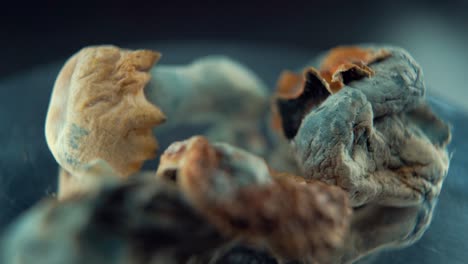 a macro cinematic shot of a magical psychoactive psilocybin hallucination dried mushroom with a yellow red cap, on a rotating reflecting stand, studio lighting, full hd, slow motion, 120 fps