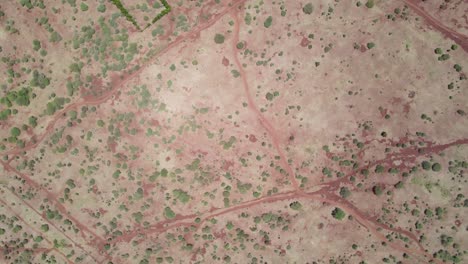 efecto del cambio climático en el paisaje africano de kenia loitokitok