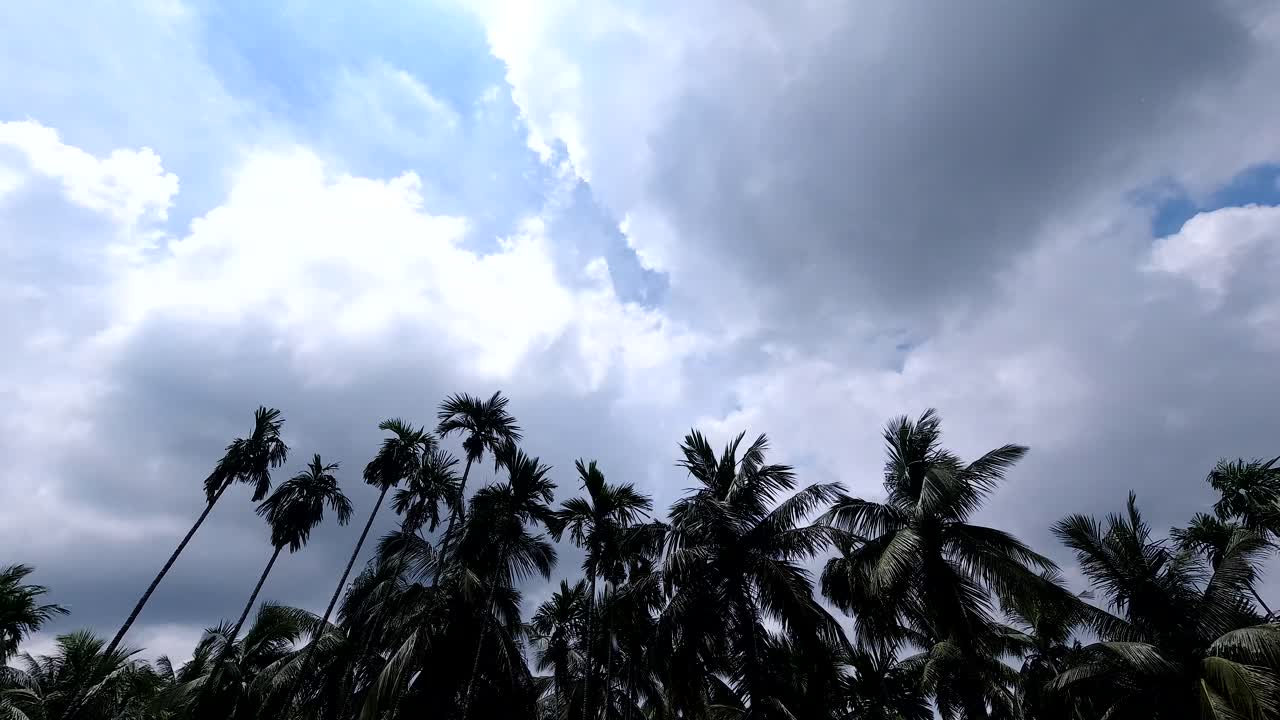 Autumn clouds are drifting across the sky