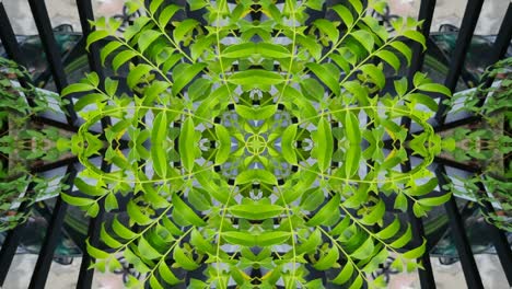 kaleidoscope