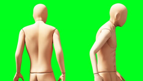 dummy, mannequin animation. phisical, motion blur. realistic 4k animation. green screen