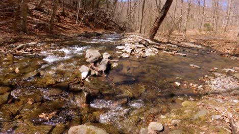 a beautiful woodland stream during early spring, after snow melt, in the appalachian mountains with blowing leaves