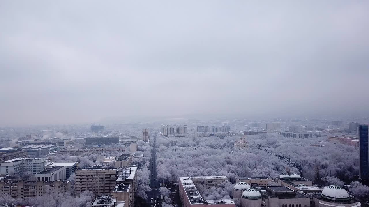 도시 의 돌집 들 사이 에 있는 눈  나무 들