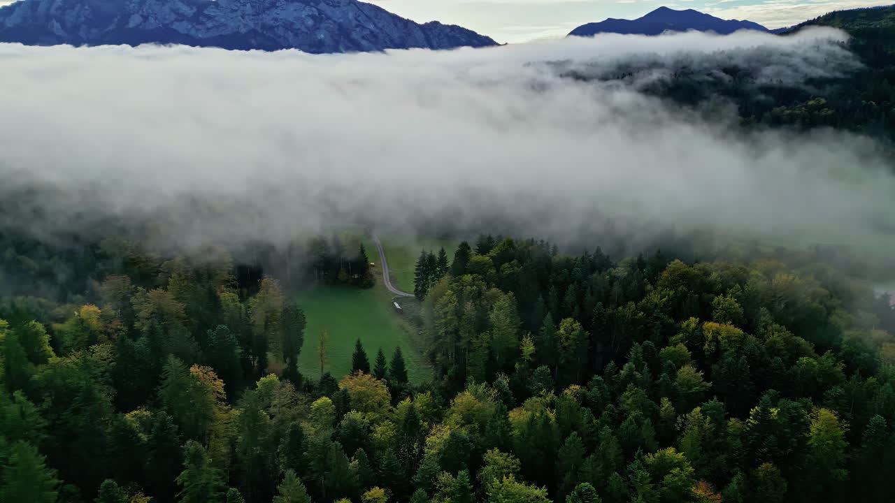 Misty forest with mountain backdrop covered with clouds, drone pan shot, Attersee, Austria