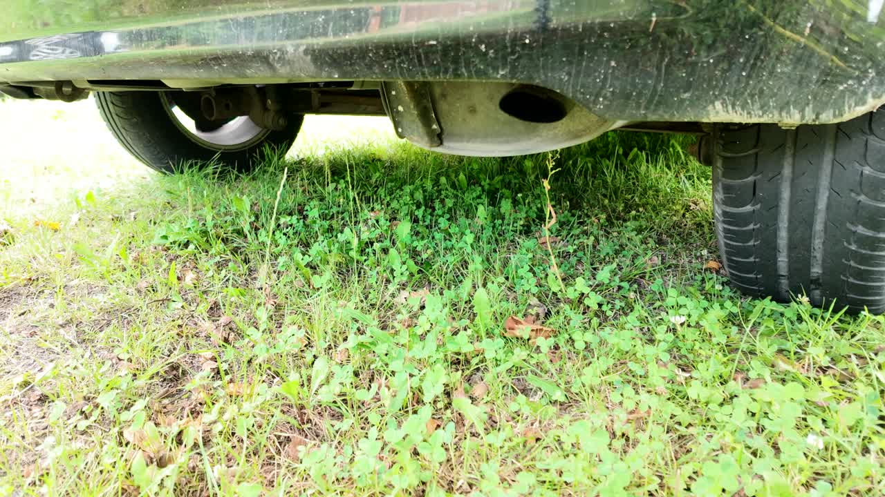 자동차 배기가스로부터의 환경 오염