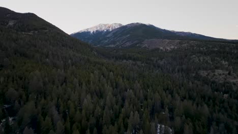 Drone-over-pine-trees-approaching-Mount-Princeton-in-the-Rocky-Mountains-in-Colorado