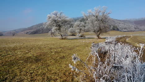 slowly flying over frozen branches with beautiful trees and hills in the background