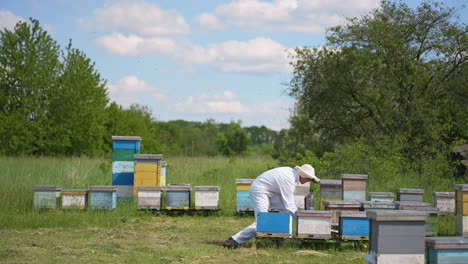 agricultural summer insects worker in protecive suit. male beekeeper working with beehives.
