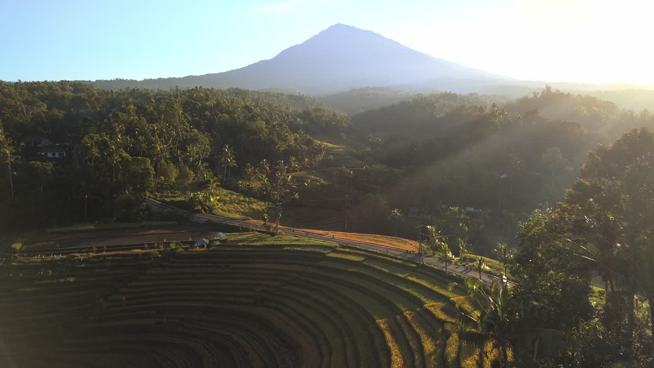los rayos del sol de la mañana brillantes iluminan las terrazas de arroz ubicadas en la selva cubierta por la ladera del volcán, bali, indonesia