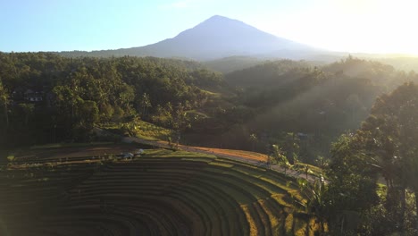 los rayos del sol de la mañana brillantes iluminan las terrazas de arroz ubicadas en la selva cubierta por la ladera del volcán, bali, indonesia