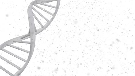 Animation-of-dna-strand-spinning-with-grey-particles-on-white-background