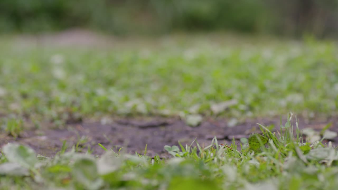 공원에서 고 있는 사람