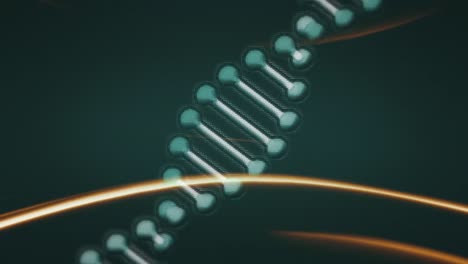 Animation-of-dna-over-yellow-lines-on-black-background