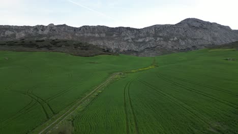 Aerial-drone-footage-captures-lush-valley-with-towering-mountain-backdrop-under-cloudy-skies-in-southern-Spain