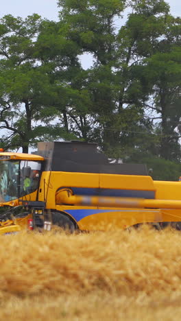yellow combine on green trees background. agricultural machine working on golden field in summer. modern machine harvesting ripe wheat. vertical video