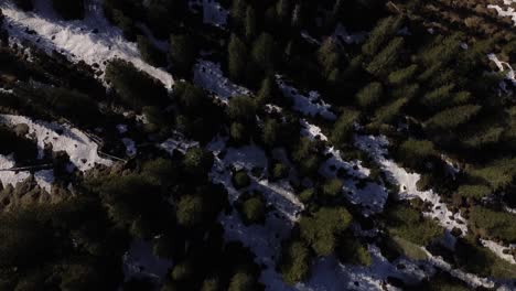 el avión no tripulado orbita sobre el bosque de pinos en las montañas rodeado de nieve