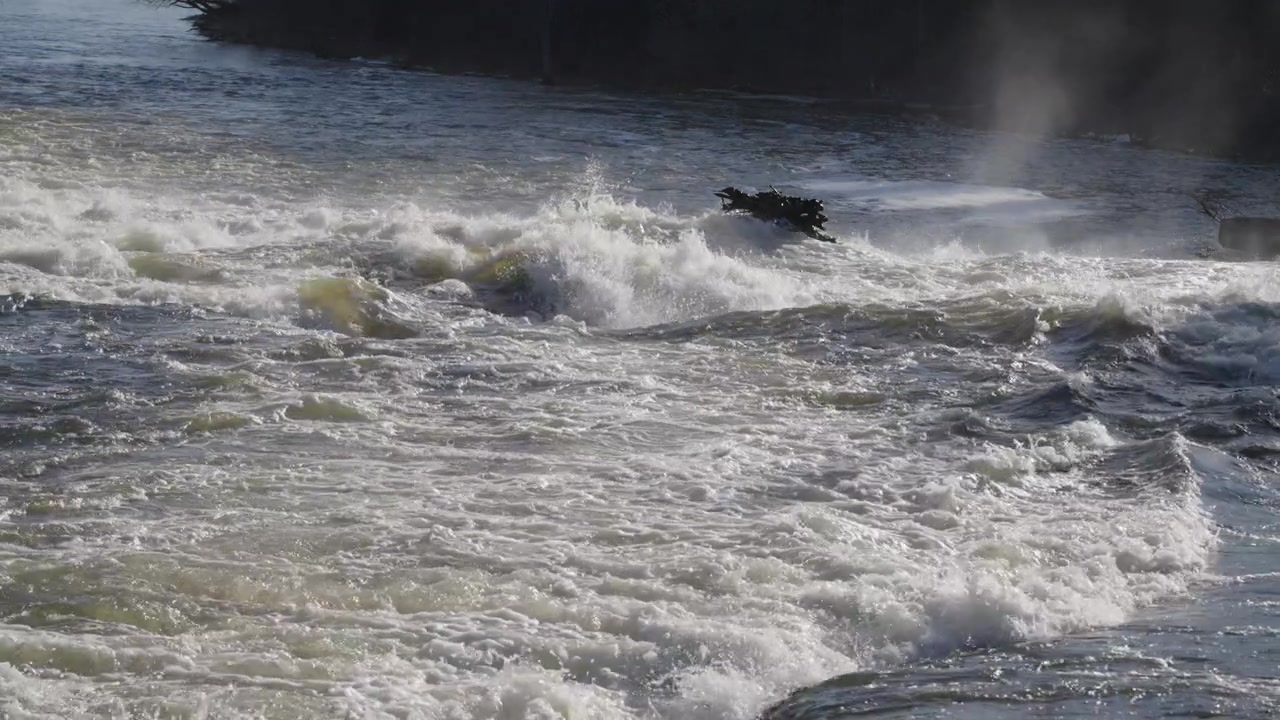 Heftige Flussströmungen rauschen an einem toten Baumstamm vorbei, der im Wildwasser der Sauble Falls gefangen ist. Auf der Bruce-Halbinsel im Frühling gelegen, erzeugt das schnell fließende Wasser starken Schaum und konstanten Sprühnebel.