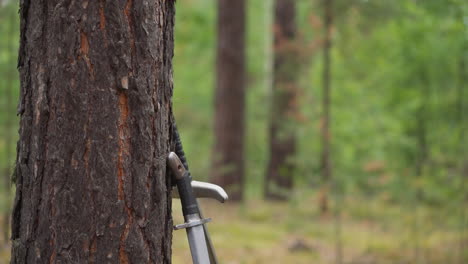 Group-of-people-in-old-styled-clothes-takes-swords-in-forest