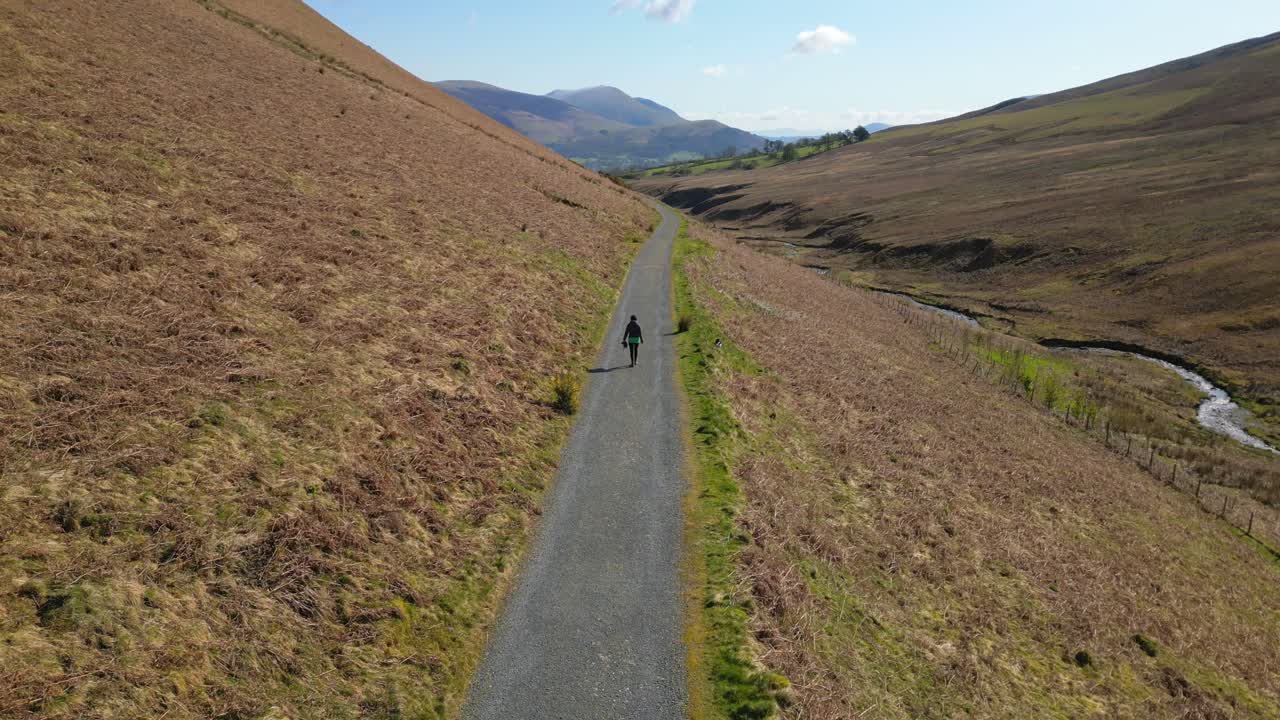 excursionista y perro en una pista de grava con la revelación del final del valle cerca de la mina force crag coledale beck en el distrito de los lagos ingleses