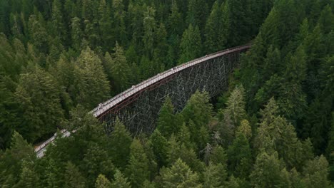 fotografía aérea sobre el puente kinsol trestle cruzando el río koksilah en un día nublado cerca de victoria en la isla de vancouver, columbia británica, canadá