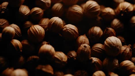 circular macro shot of bio organic coriander