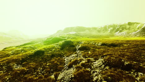 vibrant green landscape with rocky mountains in bright light