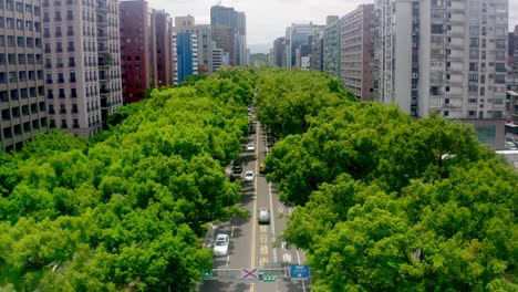 Sobrevuelo-Aéreo-De-La-Avenida-Dunhua-Con-árboles-Verdes-Rodeados-De-Edificios-De-Viviendas-En-La-Ciudad-De-Taipei-Durante-El-Día