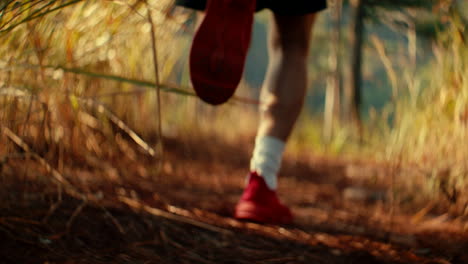 person running in a forest trail