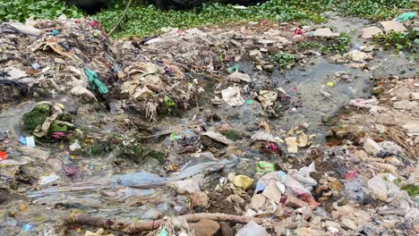 Ribera-Contaminada-Llena-De-Basura,-Residuos-Plásticos-Que-Abarrotan-La-Naturaleza,-Tema-De-Crisis-Ambiental