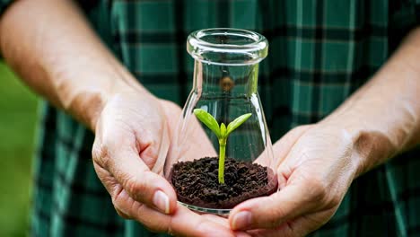 nurturing a young seedling until it reaches full maturity involves creating a supportive environment for its growth and development