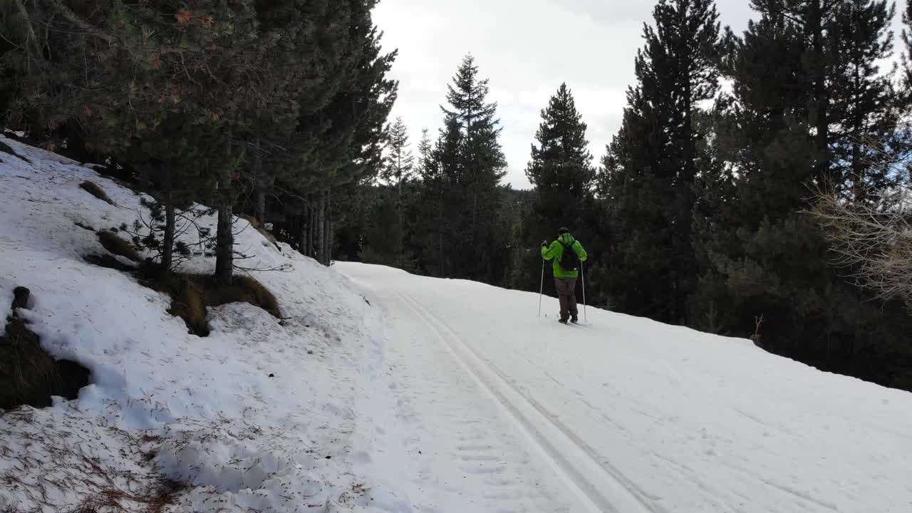 Vista aerea: sciatore di fondo amatoriale che segue una pista da sci nel bosco.