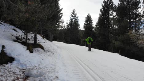 aerial: amateur cross-country skier following a ski trail into the woods