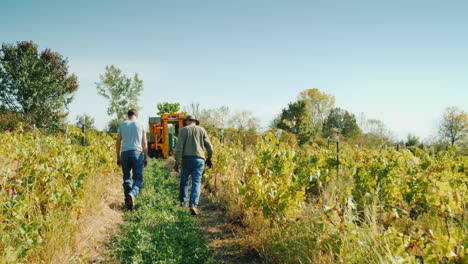 Bauern,-Die-Im-Weinberg-Spazieren-Gehen