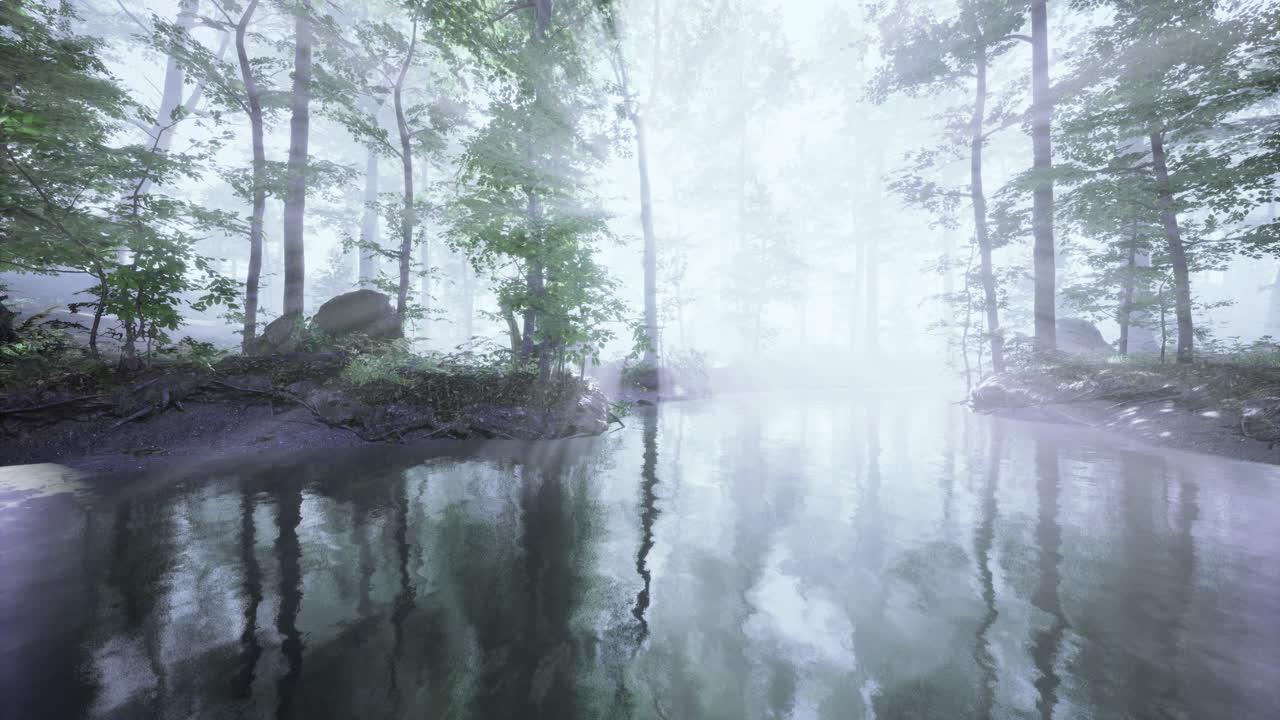 Amidst the tranquil woods a river flows gently shrouded in soft fog