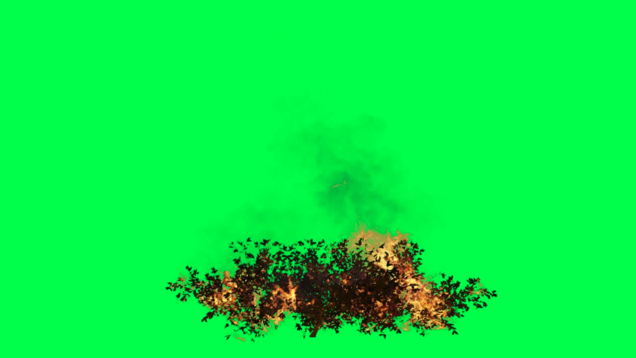 efecto de incendio de arbusto en pantalla verde