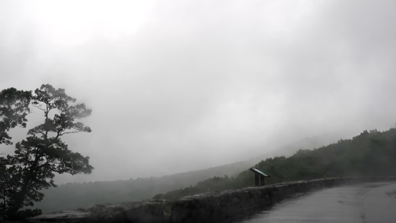 Foggy Mountain Road with Trees and Mist