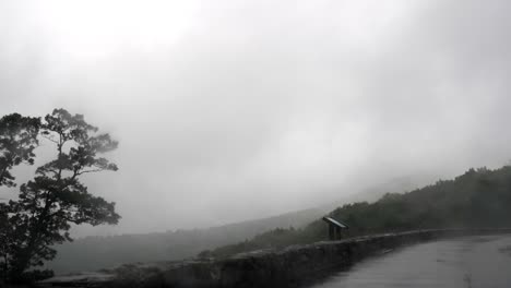 foggy mountain road with trees and mist